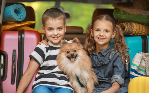 5 Ways To Cure Boredom During Your Holiday Road Trip - Playtime by Eimmie